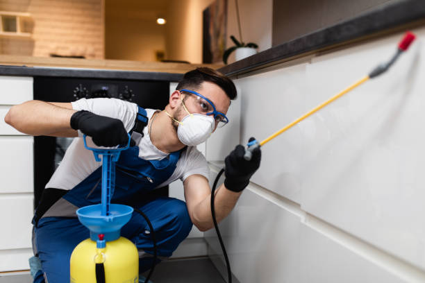 Best Local Pest Control Services  in Maybrook, NY