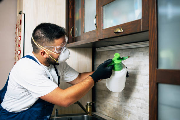 Flea Control Services in Maybrook, NY