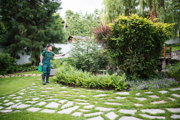 Best Best Pest Control Near Me  in Maybrook, NY