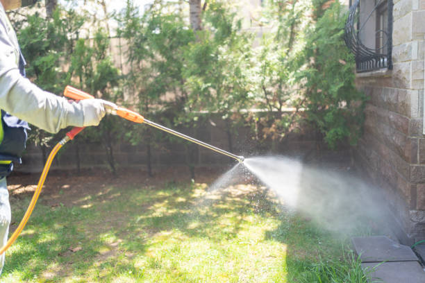 Best Termite Control Services  in Maybrook, NY