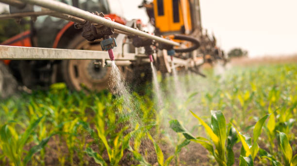 Professional Pest Control in Maybrook, NY